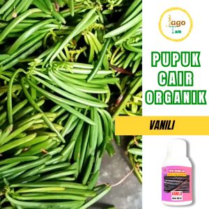 Pupuk Organik Cair Vanili 100 Ml Bantu Tanaman Tumbuh Lebat Dan Lebih Subur By Jagotani Yogyakarta