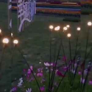 Solar Christmas Lights Solar Firefly Light Outdoor Garden LED Lamp Starburst Swaying Lawn Waterproof Yard Pathway Decoration