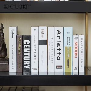 Modern Simplicity Bookshelf Simulation Living Room Decorative Accessories Study Desk Sample Room Home Decoration Artifacts