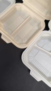 [10 pcs] Cornstarch Clamshell Bento Box Disposable Food