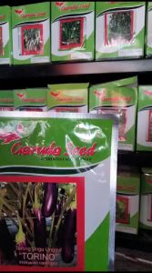 ISI ±1250 BIJI - BENIH TERONG UNGU TORINO 5gram - BIBIT TERONG UNGU garuda seed