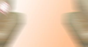 SERBUK HAMSTER SG LANDAK KAYU JATI BELANDA SUGAR GLIDER 1 BAL (ISI 15)