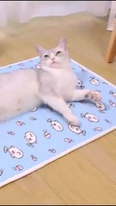 Cute Bunny Pet Cooling Mat Summer Dog Cat Bed Pad Breathable Soft Washable Pet Sleeping Mat All Season Comfort Cushion