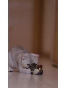 Luka☺️พร้อมส่ง💯 Gigwi นกมีเสียง Interactive Cat Toys ของเล่นแมว ตุ๊กตารูปสัตว์พร้อมเสียงร้อง ตุ๊กตาแมว ของล่นสัตว์เลี้ยง ของเล่นสุนัข ของเล่นเสมอนจริง