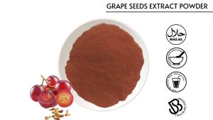 Grape Seed Extract Powder 10g