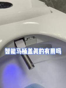 Toilet Bidet Seat Toilet Seat Cover Smart Toilet Bidet Seat Smart Toilet Bidet Seat Small Size Wash Ass Home Versatile 马桶盖