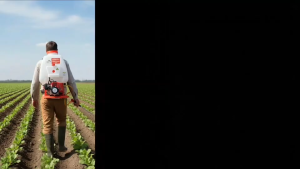 เครื่องพ่นยา767ยี่ห้อมิตซูอาโต้