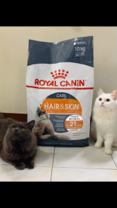 10kg Royal Canin Cat Food Kitten Hairball Urinary Hair Skin Care All Stages Pet Essentials