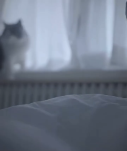 HELLS KITCHEN ขนมแมวเลีย ขนาด 14 กรัม แพคละ 4 ซอง ช่วยย่อยและบำรุงระบบขับถ่าย