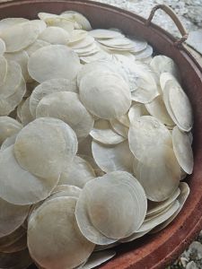 Original capiz shells  50pcs