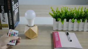 SENDA 5W 10W 15W LED RGB Bulb Remote Control Light Color Changing Colorful Bulb Lamp 110V 220V/MS
