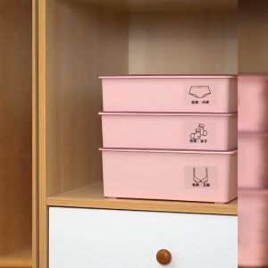 Box Penyimpanan Underwear: Solusi Tersusun & Rapi