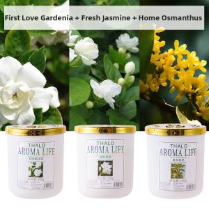 Bathroom Freshener Solid Fragrance Odor Removal
