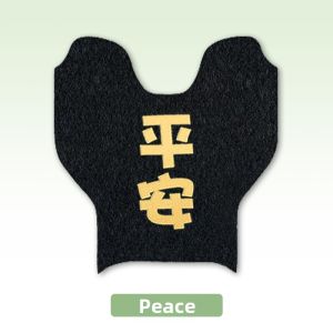 Model Specific Waterproof Coil Footrest Mat for E-bike