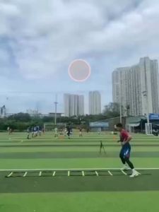 Thang Dây Tập Luyện Thể Thao Thể Lực Chọn Chiều Dài 3m – 6m  Tốc Độ - Thang Dây Tập Đá Bóng Đá Banh Võ Thuật Gym