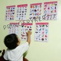Educational Animals Chart - Laminated A4 Size, Educational Wall Chart. 