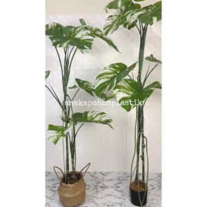 Pohon Artificial Pohon Hias Monstera Variegata T170 & T190 Latex Pot Dasar Hitam Cover Purun Belly Hiasan Ruang Tamu
