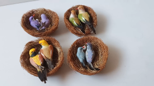 โมเดลนก สําหรับตกแต่งบ้าน #1