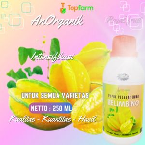 Pupuk Booster Buah Belimbing / Pupuk Pelebat Buah Belimbing / Pupuk Penyubur Daun Dan Buah / Pupuk Pelebat Buah / Pupuk Pembesar Buah Belimbing
