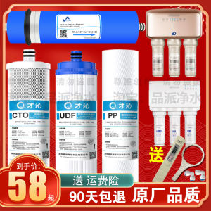 CaiQin Filter Core for Qingyun Water Purifier RL-403A(S)/B/C Yi Garden TRULIVA Water Filter Purifier Accessories from China