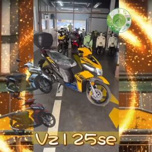 BENELLI VZ125I SE Interchanged