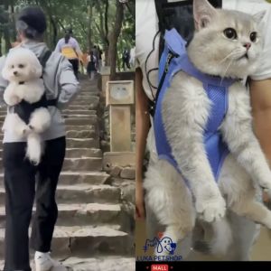 Luka😊พร้อมส่ง💯 เป้สะพายหลังสัตว์เลี้ยง เป้อุ้มสุนัข แมว กระเป๋าสะพายสัตว์เลี้ยง เป้ใส่สุนัข เป้ใส่แมว กระเป๋าสัตว์เลี้ยง