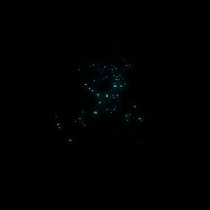 Bán Nóng [ Vận chuyển từ Trung Quốc ]2025 Phao câu cá phát sáng mới móc câu đổi màu phao điện tử cho cá lớn phao câu cá đêm phao cá chép siêu sáng thi