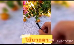 ไม้นวดตา ไม้นวด Lancome ของแท้ - 100% พร้อมส่งในไทย