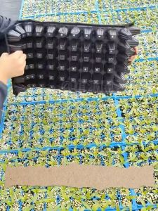 [Purchase 1 piece of easily transportable medium-pressure bent product. It is recommended to purchase in large quantities].Seedling Tray 50/105/128 Holes Seed Germination Flower Pot Garden Seedling Tray Promotes Seedling Growth