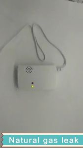 Gas Leak Detector Alat Detektor KebocoranAlarm Standalone Gas Tangki LPG