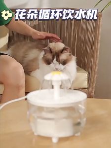 Pet Water Dispenser Automatic Cat Water Fountain USB Silent Pet Water Feeder Flower Automatic Circulation Water Dispenser Automatic Bowl for Cat and Dogs with Filter