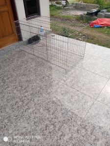 kandang kucing jumbo murah ukuran 100x60x60 kuat kokoh anti karat dan tahan lama