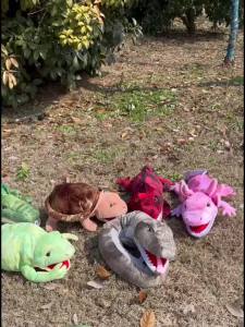 Amphibia Plush Hand Puppet Plushed Doll Educational Snake Frog Lizard Simulator Soft Stuffed Toys Anime Doll Game For Boys Girls
