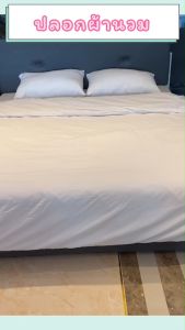 Best Home ปลอกผ้า Cotton slik 800 เส้น กันไรฝู่ ซองนวม ลายเรียบ สีขาว เทาอ่อน เทาเข้ม กรม 80cm ติดซิป