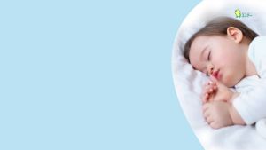 Mushuda แผ่นป้องกัน ไรฝุ่น แผ่นไล่ เห็บ หมัด แผ่นใหญ่ จากธรรมชาติ 100% ทนทานและหนา ไม่มีน้ำหอม 1 กล่องมี 2 ชิ้น ญี่ปุ่น