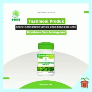 Andrographis Centella Ekstrak Sambiloto Akar Alang-Alang Pegagan Kapsul Hni Hpai
