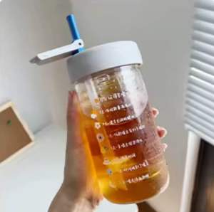 Fruit Infuser Glads Water with Straw and Infuser/Strainer Drinking Straw Cup Portable Clear Glass Bottle 550ML