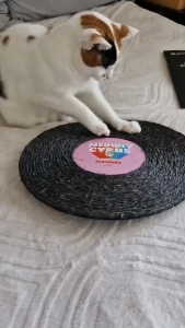 FuzzYard DJ Poppin’ Record Cat Scratchers Toy - Sisal Rope Tracks | 6 Funky Tracks Design