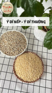 Hạt ý dĩ nếp 1kg hạt bobo y dĩ thơm bở bùi nấu chè cháo nấu sữa hạt pha trà lợi sữa