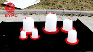 POULTRY 750ml  Imported Hanging Chick Drinker Waterer for Chicken Chicken water drinker chick feeder and drinker chiken