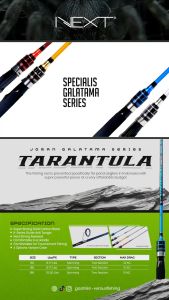 Joran Pancing Carbon Solid NEXT Tarantula Series Spinning – Varian 8–17lb & 10–20lb