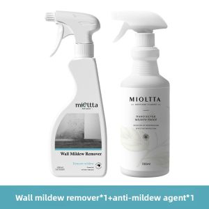 Mold Removal Spray for Walls