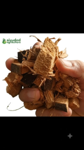 Coco Cube 5L Growing Medium Coco Coir Cubes for Plants Seedlings