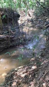 Bablas 490 SL Herbisida Sistemik Kemasan 500 ml/Obat Rumput Pengganggu Tanaman 500 ml/Obat Pertanian Bablas Kemasan 500 ml