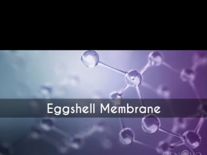 Nutriva EggToFlex 600mg (30 capsules) for Joint Health with Eggshell Membrane | Calcium Carbonate