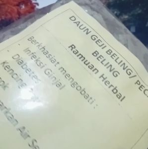 Daun Geji Beling - Infeksi Ginjal Diabetes Kencing Batu Encok Melancarkan Air Seni / Toko Mentarisenja Herba