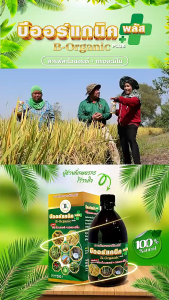 บีออร์แกนิคโกรว – B Organic Grow สูตรเพิ่มผลผลิตข้าว ลดปุ๋ย–ลดยาฆ่าแมลง อาหารเสริมพืชเข้มข้น ขนาด 500 ซีซี แพ็กคู่