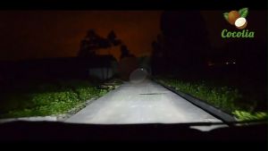 หลอดไฟหน้ารถยนต์ ขั้ว 2 ชิ้น 100W 12V ก๊าซฮาโลเจน ส่งด้วน ไฟหน้า 6000K ขั้ว H7/H4/H11