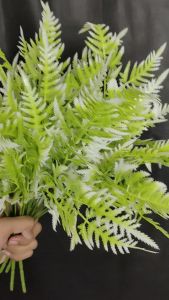 Daun Rumput ACC Star Polos cabang 7 Tanaman Hias rumput hias plastik - Hiasan Dekorasi Kamar - Bunga import murah - Daun artificial - Tanaman Dekorasi Ruangan - hiasan bunga Dekorasi Pelaminan