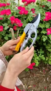 Pruning Shears Gunting Dahan Bunga Pohon Dari Baja Tahan Karat Ranting Stek Alat Potong Dahan